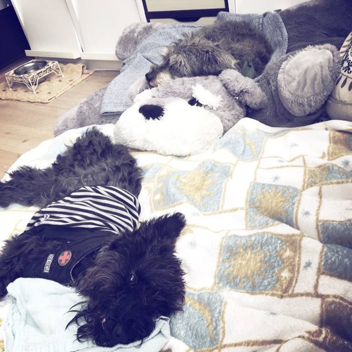 Ade7dc39 e1d7 46a5 9487 bae3b044898d