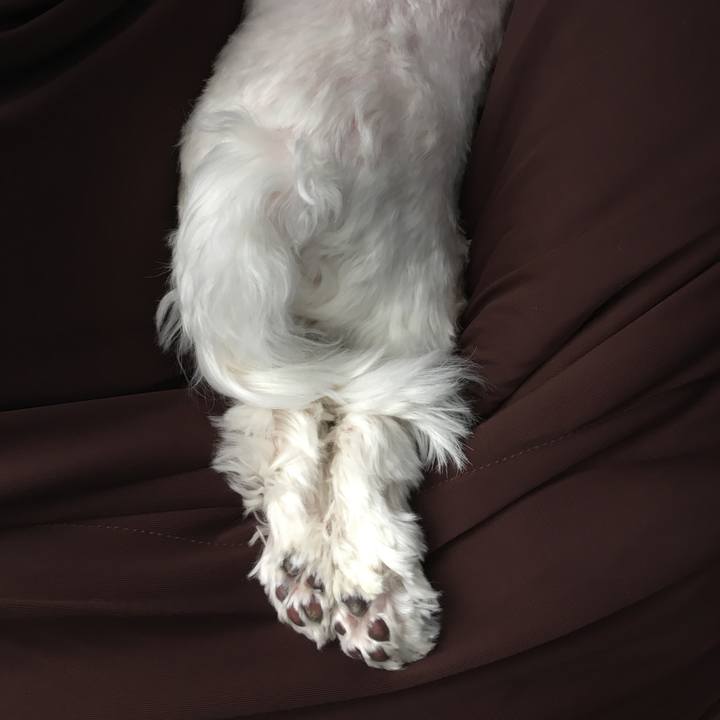 Ade8d118 99ea 4b80 a76d 8778e37f5d68