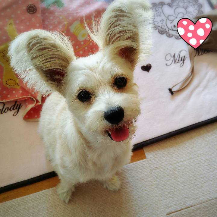 Ade93bc8 9954 449a 9d1e f9542331ed63