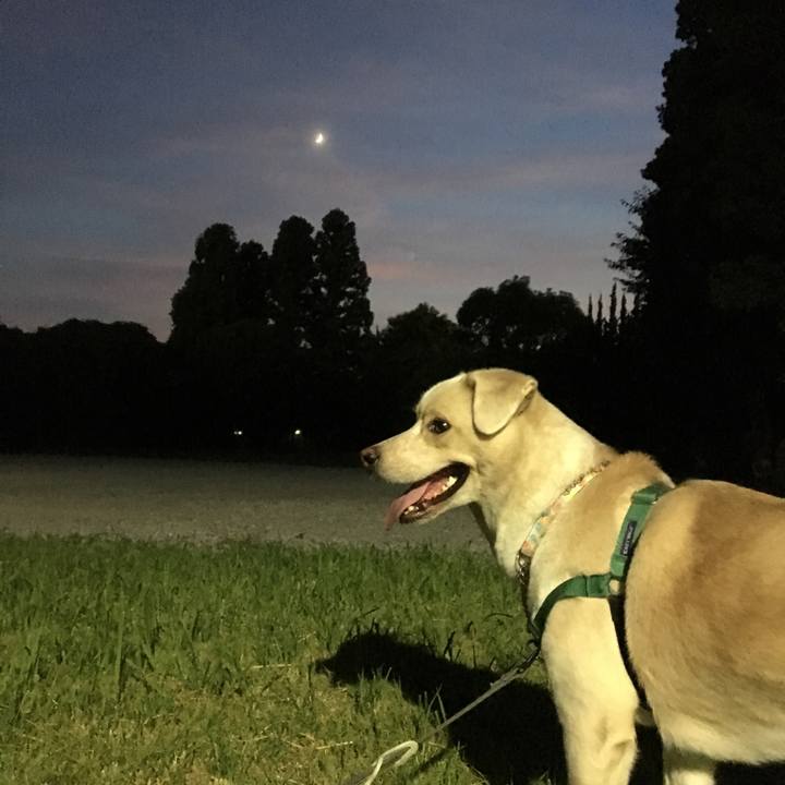 Ade99ef0 ef46 4544 8f59 93d8c12b7c46