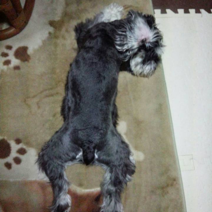 Ade9abcd c41e 4b24 b9d7 ffec6cd1fcd6