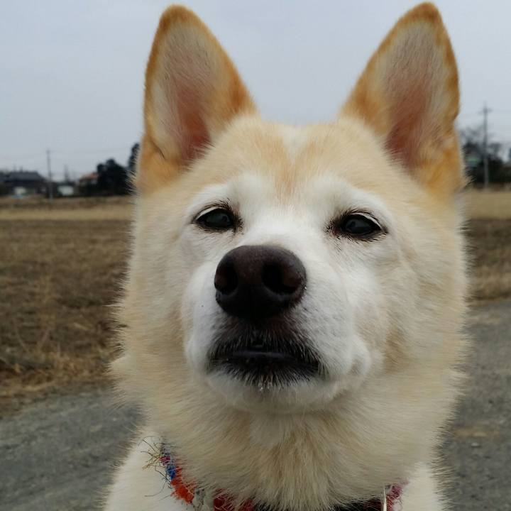 Adea060a 7a7f 44c0 ba96 a8d80d6c94a6