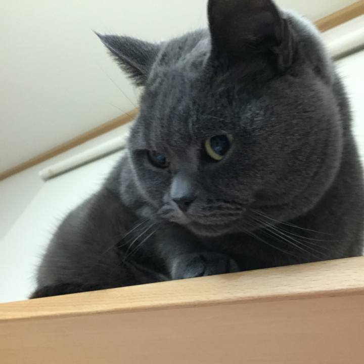 Adec4893 59b8 4464 96f4 2f57827accd5