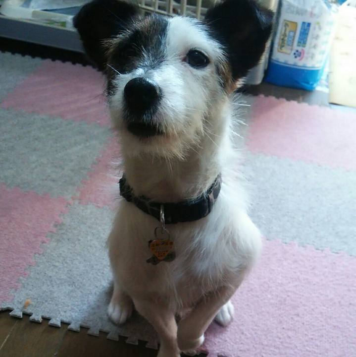 Adecece5 911d 47a7 a2d7 d318c07722ef