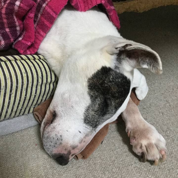 Aded2de8 30d9 4e3c ab18 2cde68ad5b38