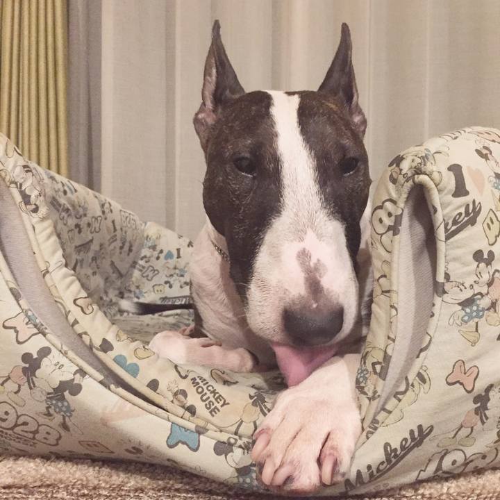 Adedfd18 3853 4e10 9835 ffab3536a1af