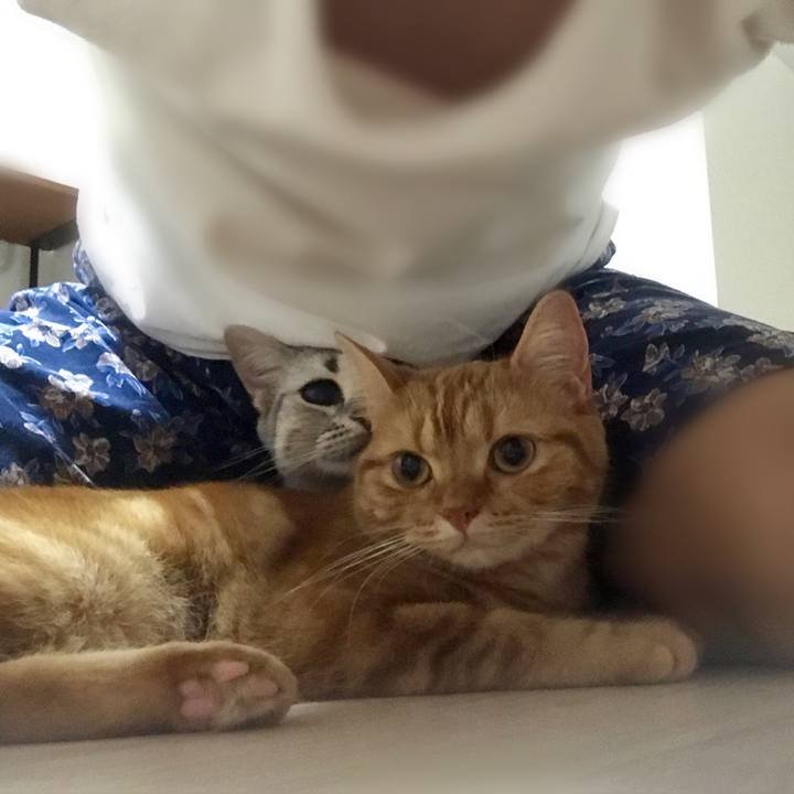 Adee53be 7f0e 4ce0 9dff 0dd8c6f197f2