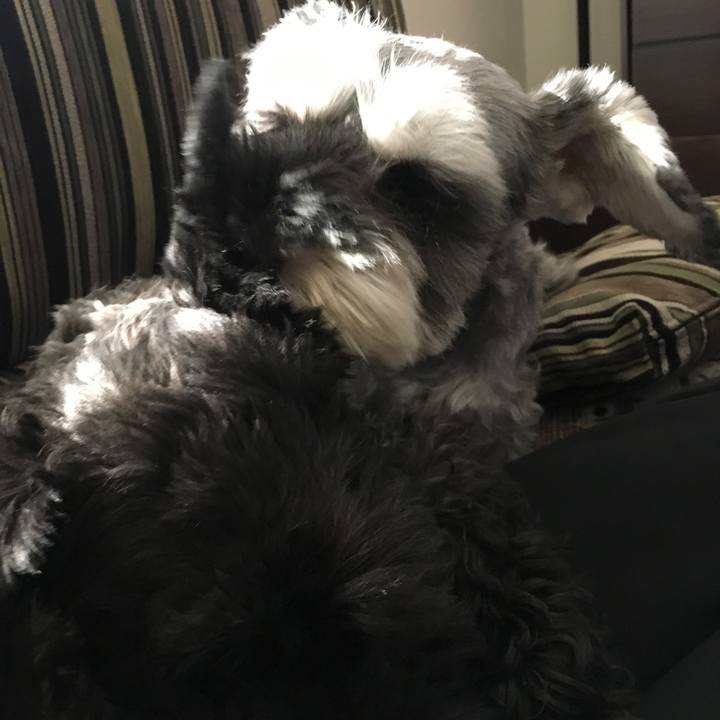 Adeea0bc bc5e 48d0 bed4 9e8a6471cff7