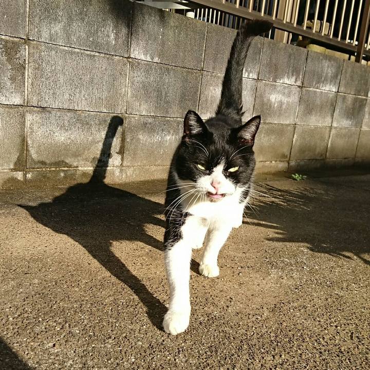 Adef30bf c001 4689 8c78 c1bbf007401b