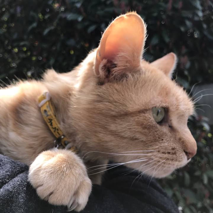 Adef3850 b883 4433 b0c0 f2b00af04ce6