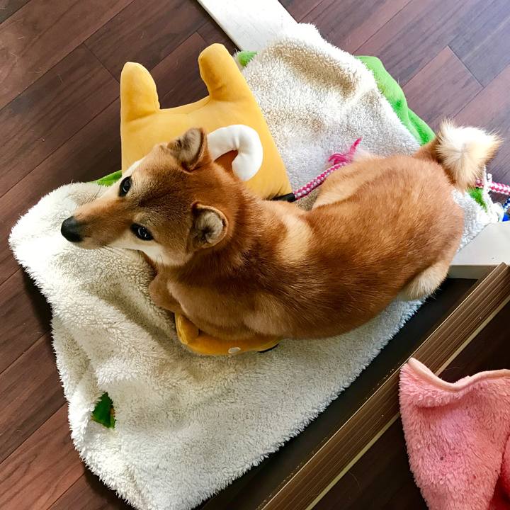 Adef890e 8690 4920 9603 26e641829f23