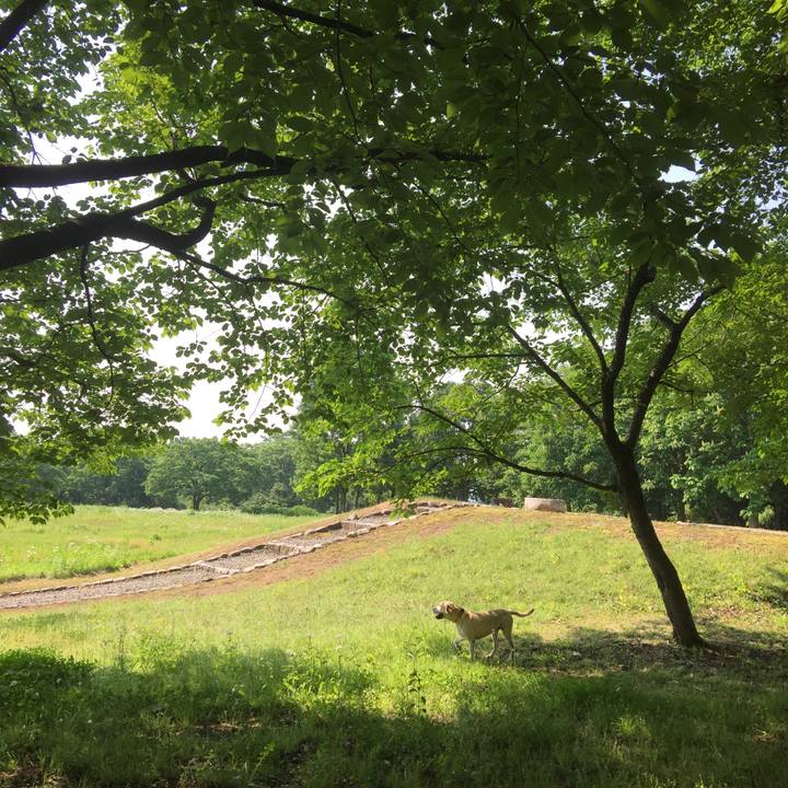 Adf07464 6270 42e5 bc73 1c7e1d9405ad