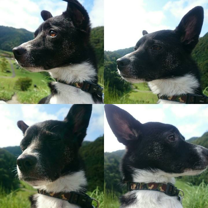 Adf08516 fec4 4dc9 be29 37955dc955f2