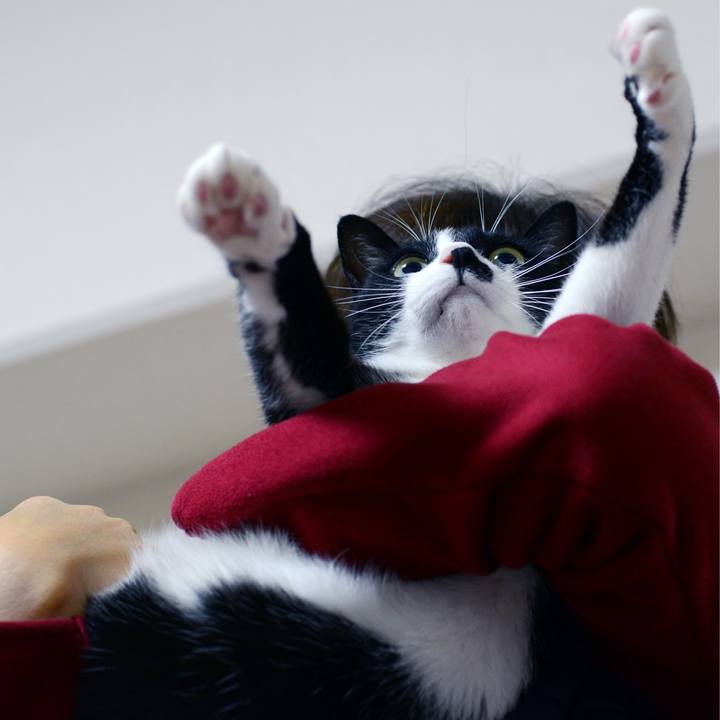 Adf0b4e5 347b 40f1 8122 9e5ea1d8f59c