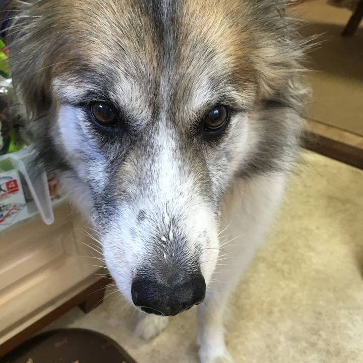 Adf13270 ef3f 443e b5a1 6f952b3de5dc