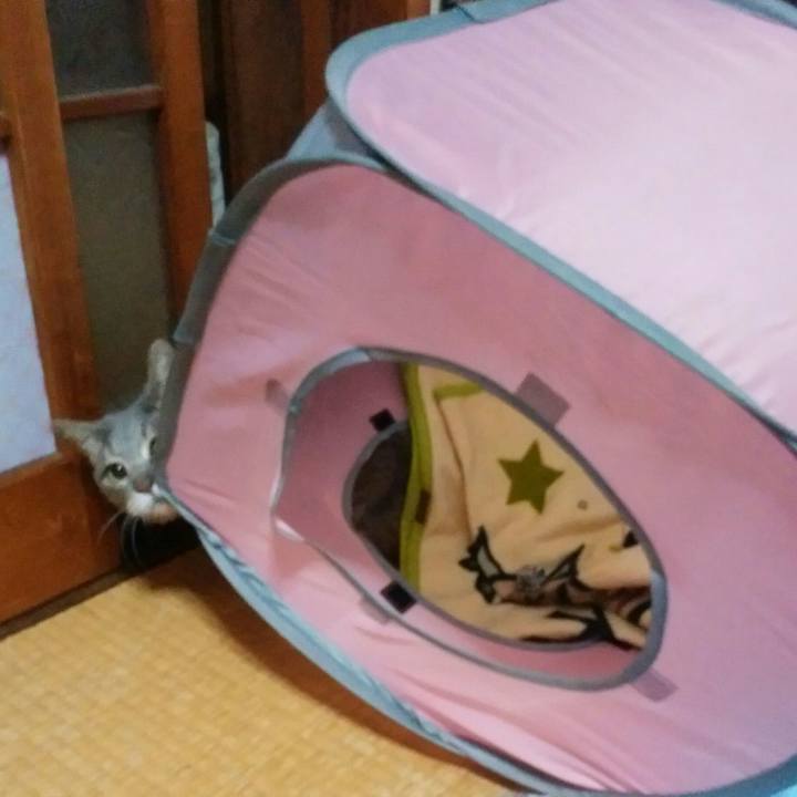 Adf13fab 5abe 4105 a3d6 e160833563a4