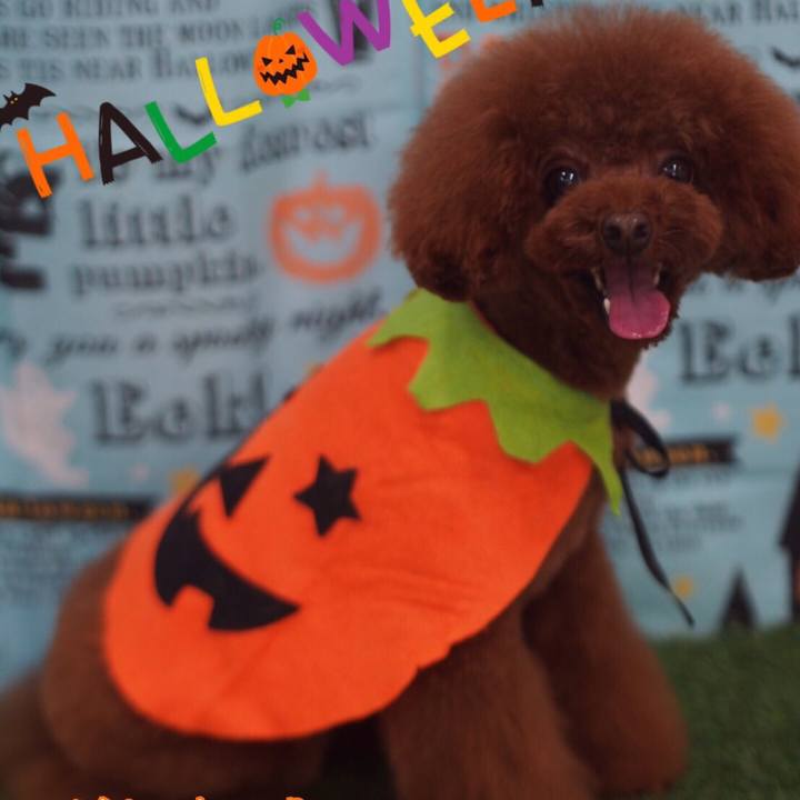 Adf1c324 c1ca 4dac 92b9 4c035c2f36ef