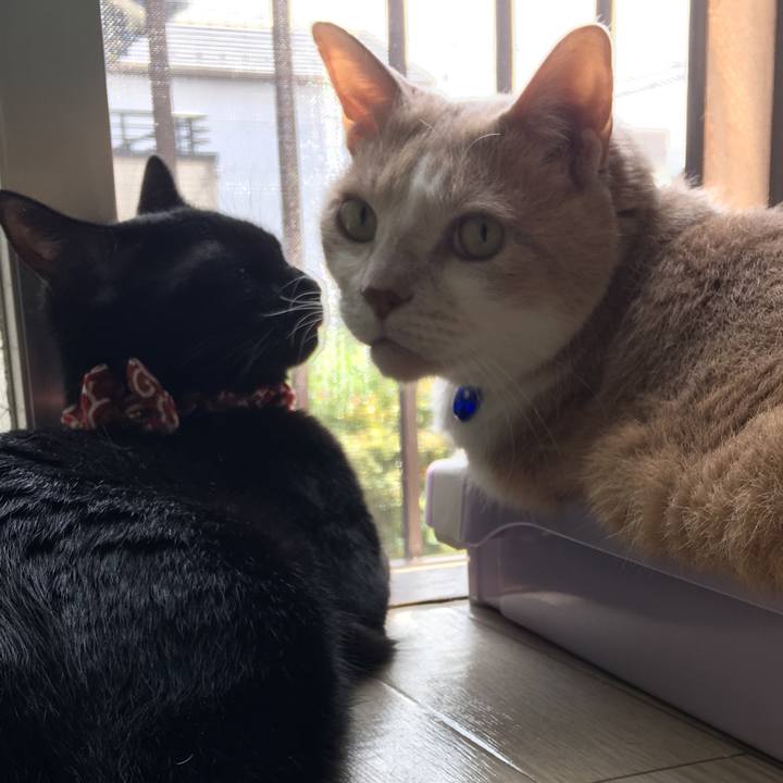 Adf21c84 0a8e 4a70 8b75 e9a1e2d93eb7