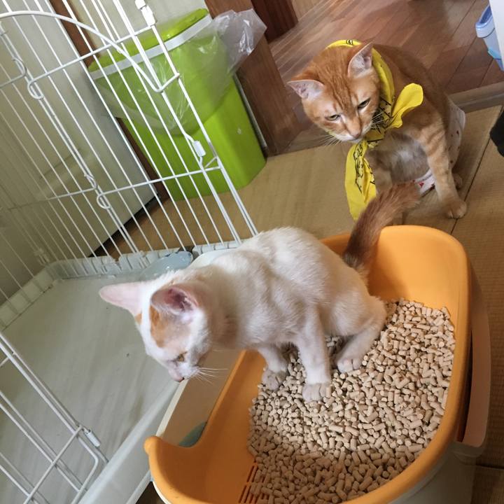 Adf22552 f65a 4bc8 bdc1 2cc5fd661f17