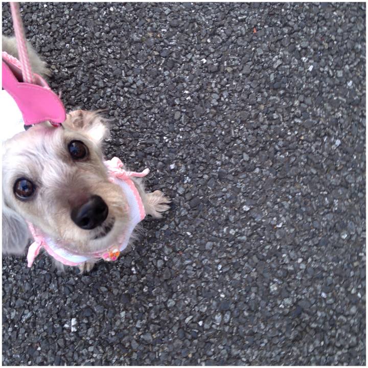 Adf2aaa3 49d9 412a b4b2 7217ce6de9f9