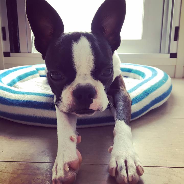 Adf2b5b2 6462 4070 a5fa cbba7e92e914