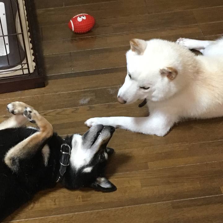 Adf2f49a 6b60 422f 81f1 afc80cb16ac5