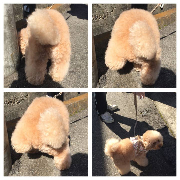 Adf3815d 214b 42c8 8306 33d7411bad42