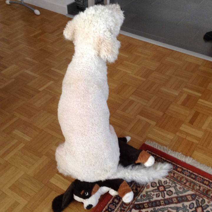 Adf3c022 4d79 4d92 9967 e9db467bbd65