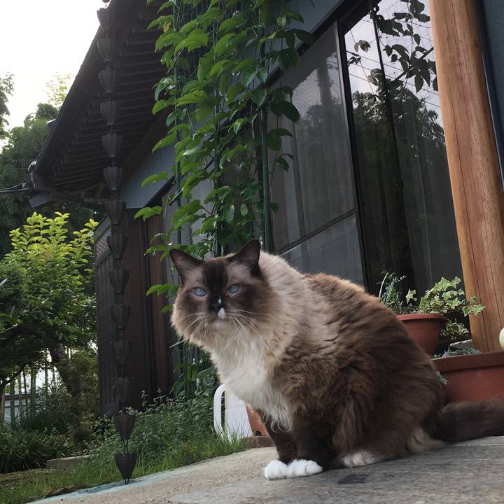 Adf43bfa 9a11 4485 816d 6df3f8099c05