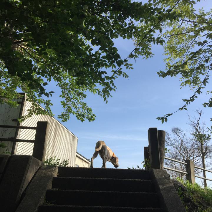 Adf43e85 6376 4694 b239 2fb976c8f88e