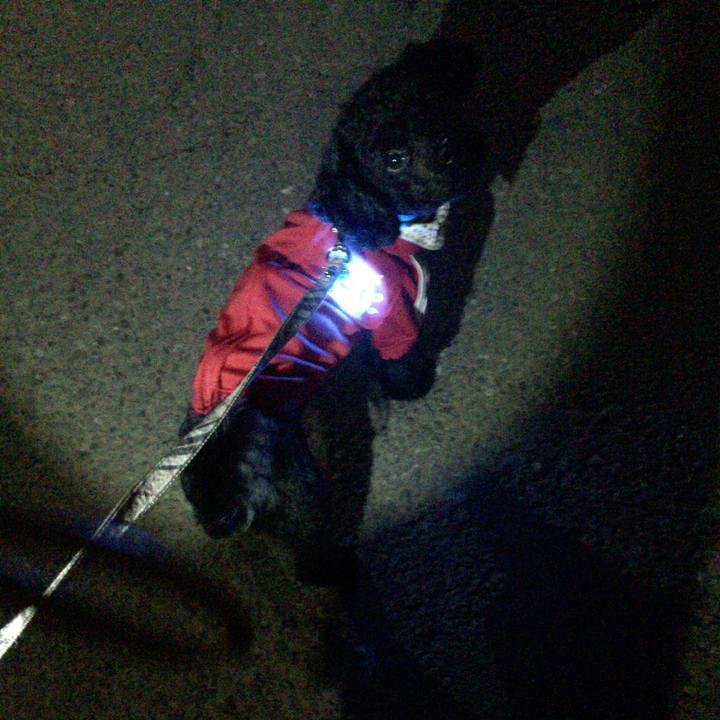 Adf52e3e ed91 409d b5ec 82910ace8b81