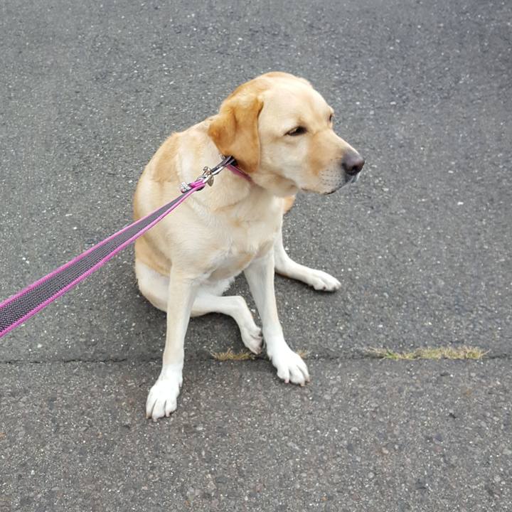 Adf55180 7075 4dc0 aa6b 723a03772286