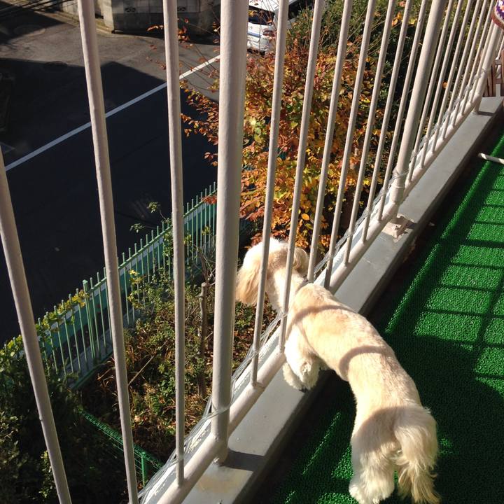 Adf557ed 8fad 46d0 a4e9 a8cd80ed2e73