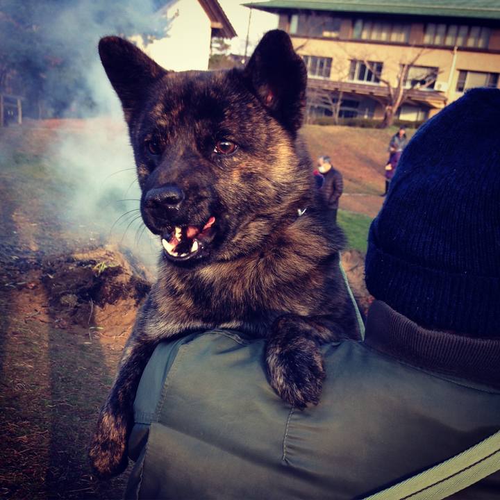 Adf5e1bc bc43 46a4 87c4 aa39c46a4efd