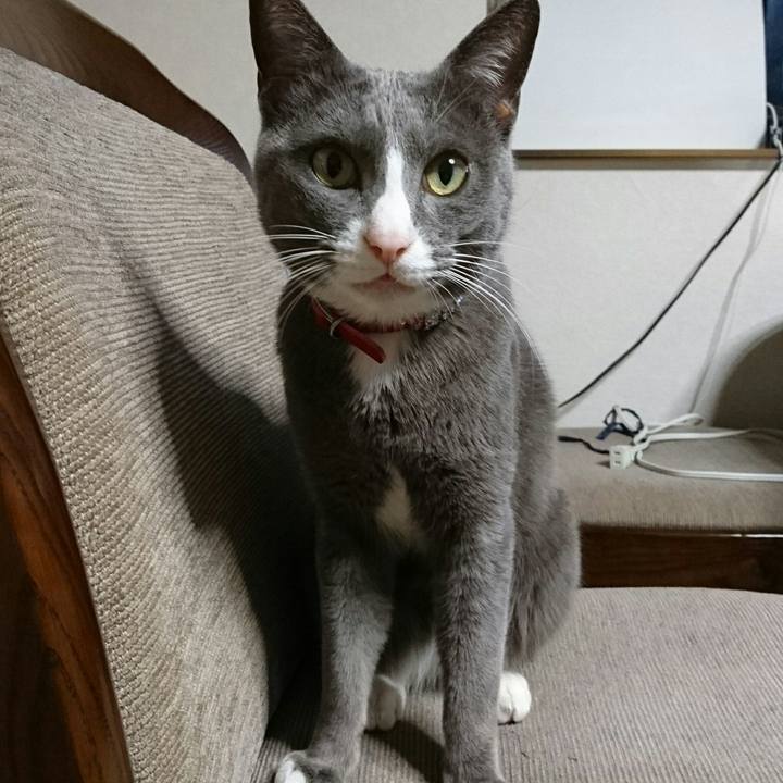 Adf5ed57 b0e7 480c b566 b2bfe8962f9c