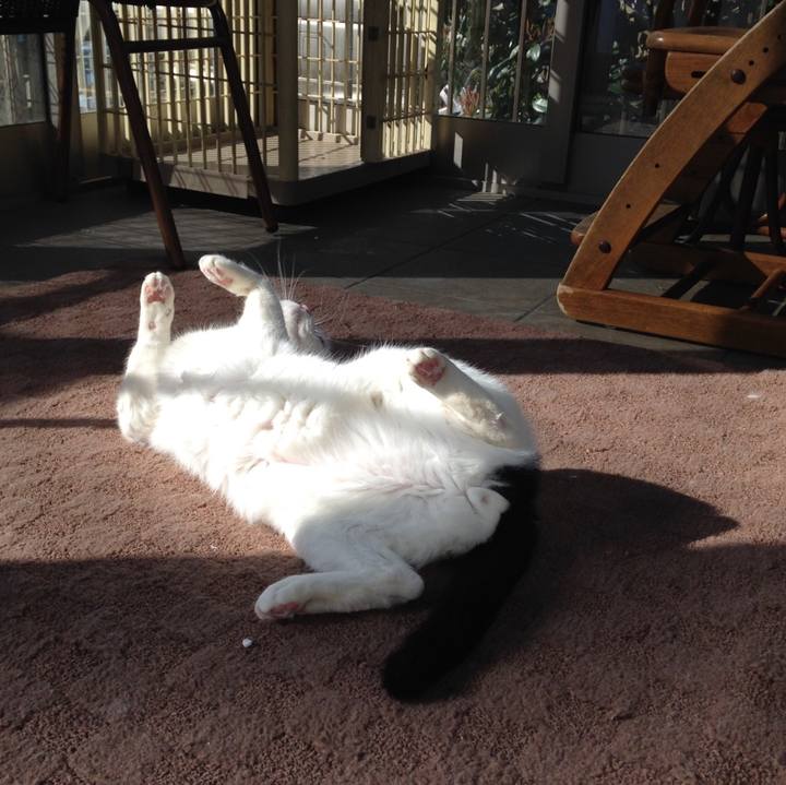 Adf66315 bafb 48a2 92bd 56463e66ee26