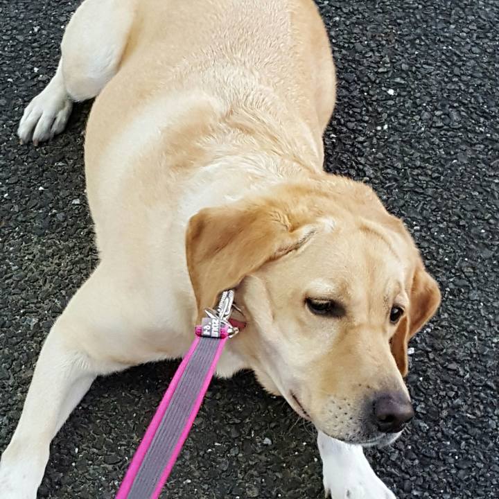 Adf66a4a 38bb 43db 8c13 dd55c48c9c29