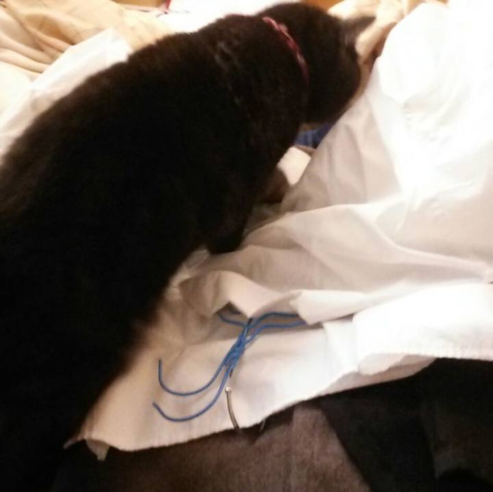 Adf81705 32cb 4690 96a3 e54b8f757893