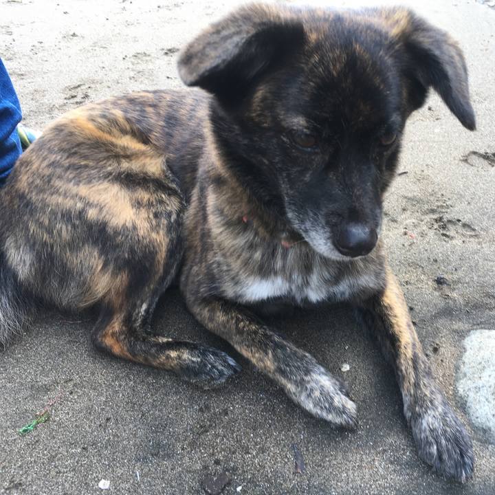 Adf8c2ec 6dd5 4b10 8fb7 73b5d99abce9