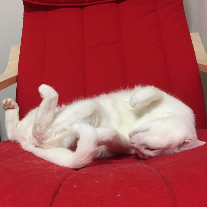 Adf90294 02e3 4be7 b9f1 a617d13f310a