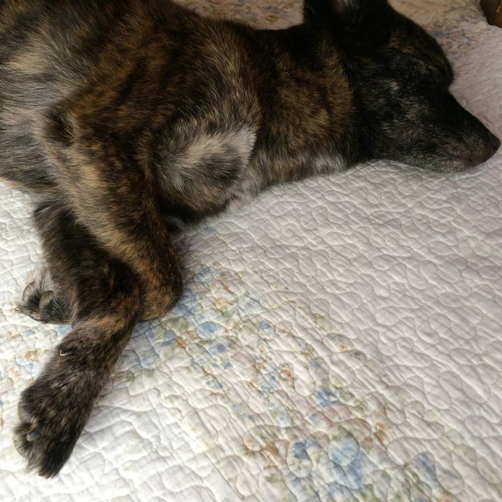 Adf96a11 d344 4706 b98b f260de8f1ff2