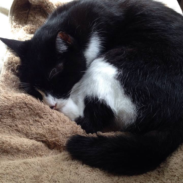 Adf9cebb 5ac1 49ce 9897 ea0baa202b3a