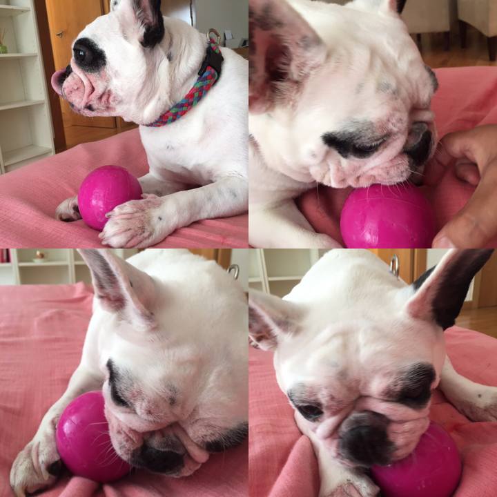 Adfa8d81 163f 4a2e a33e a8ea3cee86a6