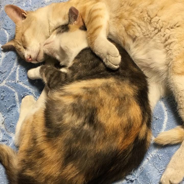 Adfb8c47 3936 4f42 ae84 ad37657438e6