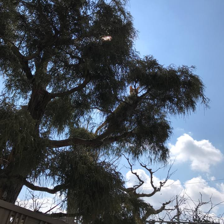 Adfc2f7e abda 4bcc bf7e 0d50b9b3c34e