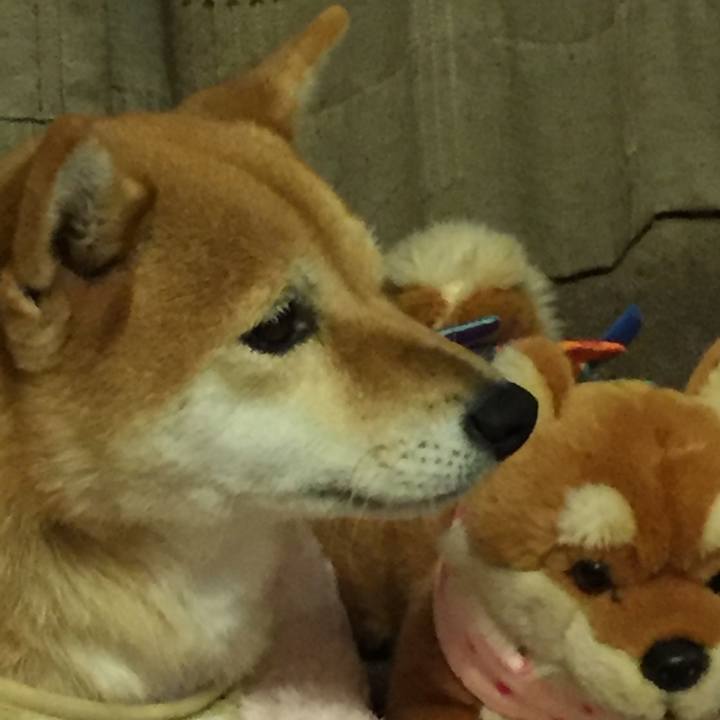 Adfc86dd aabd 4992 b3c1 7eca88497602