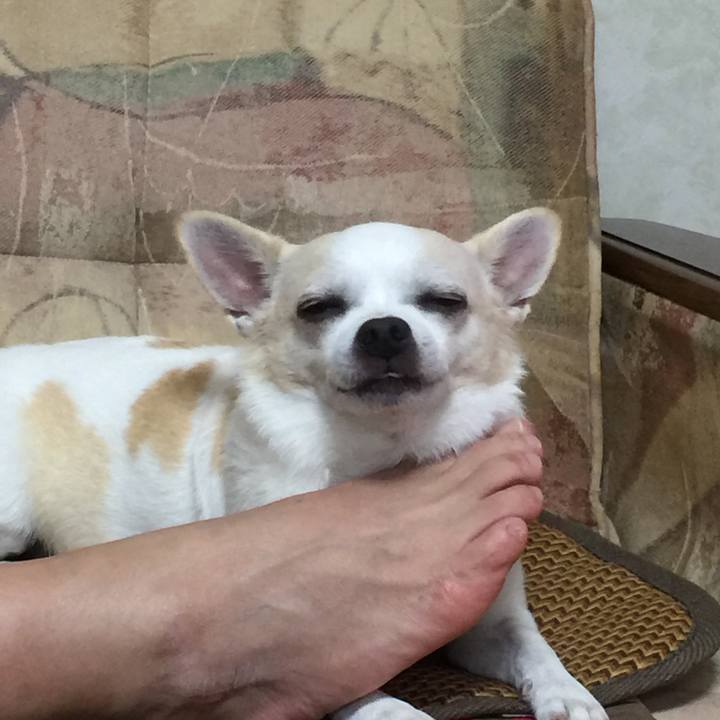 Adfcd190 94af 451d a358 4aaee22c9ec7