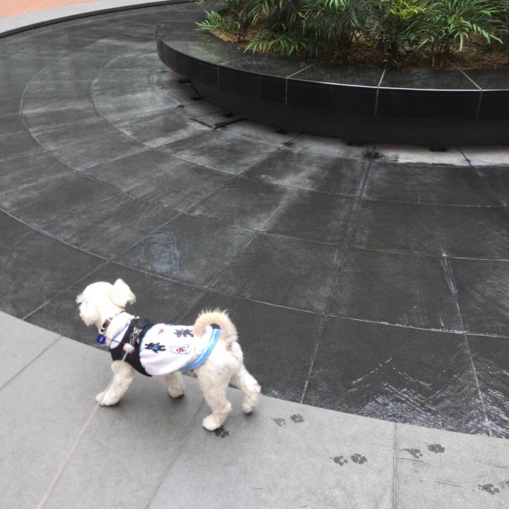 Adfcfdac e95c 4739 a071 2f988dd75cc4