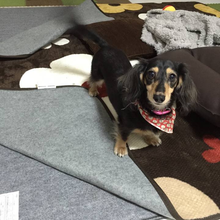 Adfd296b fa4b 4611 8ced 9ac4e3120661