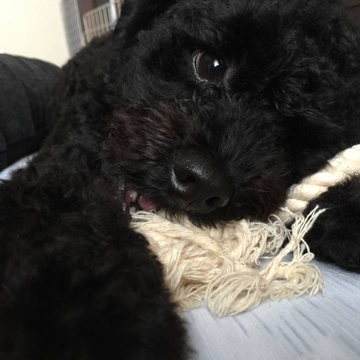 Adfd9a28 9aa7 4196 a425 cd2b3f184caf